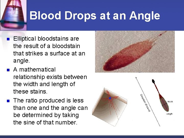 Blood Drops at an Angle n n n Elliptical bloodstains are the result of
