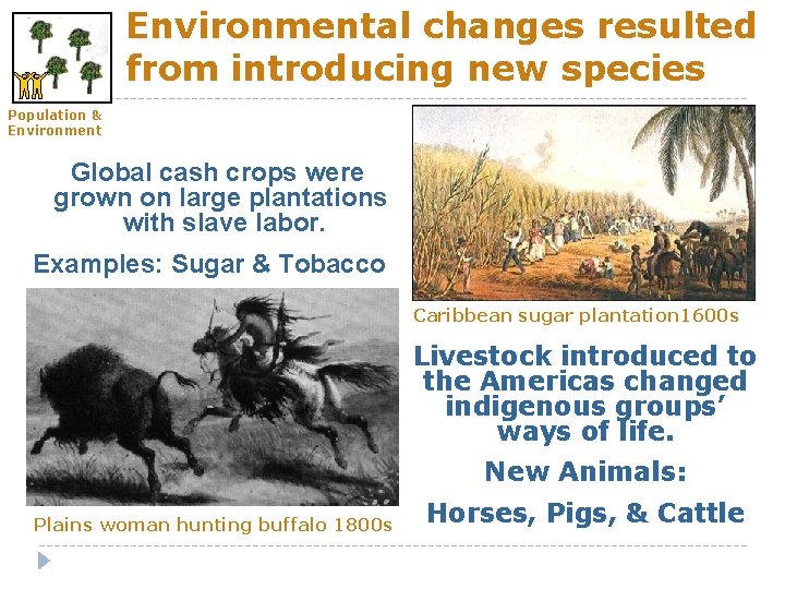 Environmental changes resulted from introducing new species Population & Environment Global cash crops were