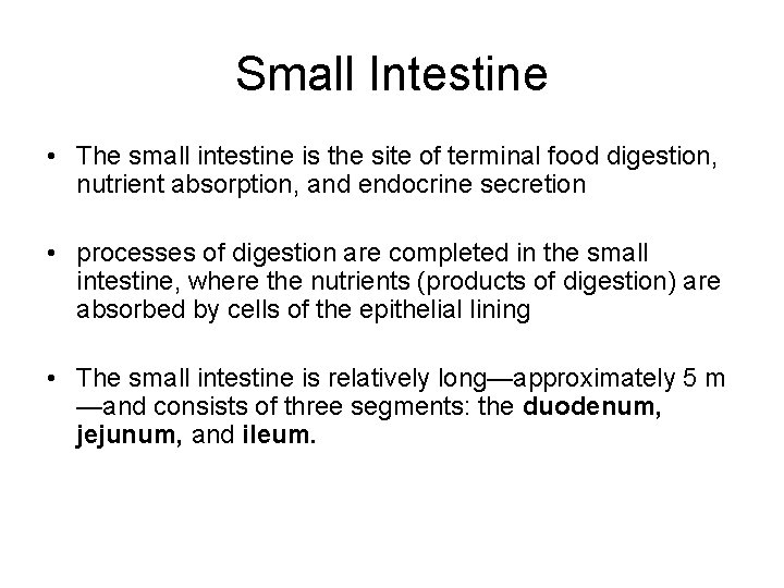 Small Intestine • The small intestine is the site of terminal food digestion, nutrient