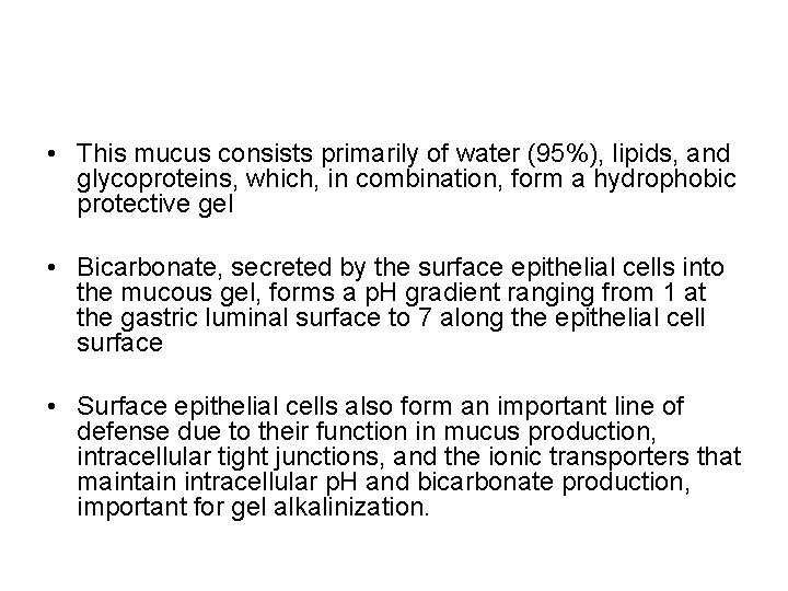  • This mucus consists primarily of water (95%), lipids, and glycoproteins, which, in