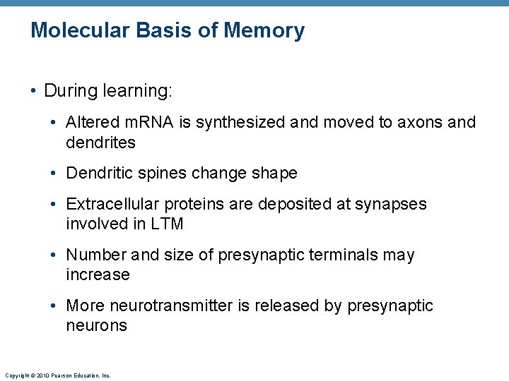 Molecular Basis of Memory • During learning: • Altered m. RNA is synthesized and
