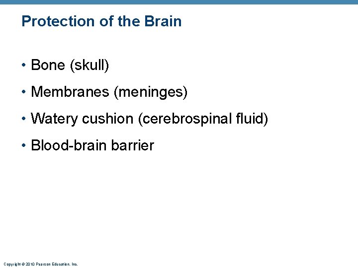 Protection of the Brain • Bone (skull) • Membranes (meninges) • Watery cushion (cerebrospinal