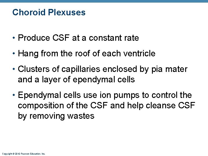 Choroid Plexuses • Produce CSF at a constant rate • Hang from the roof