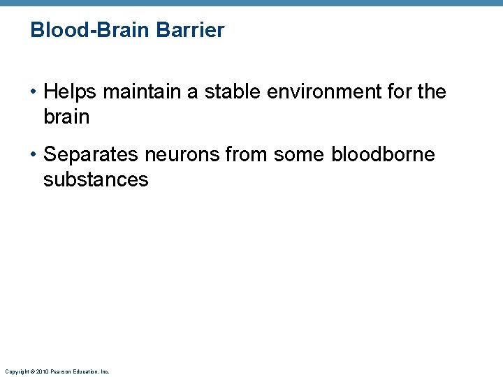 Blood-Brain Barrier • Helps maintain a stable environment for the brain • Separates neurons