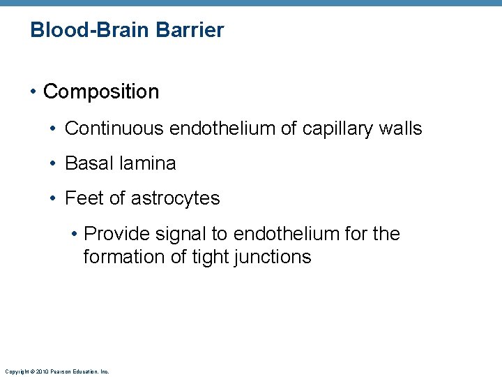 Blood-Brain Barrier • Composition • Continuous endothelium of capillary walls • Basal lamina •