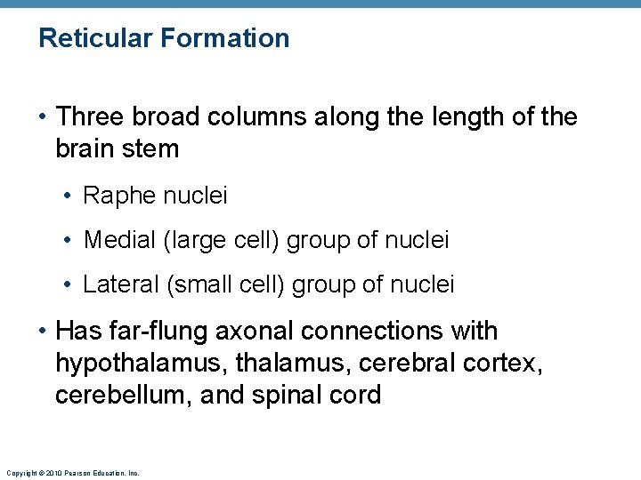 Reticular Formation • Three broad columns along the length of the brain stem •