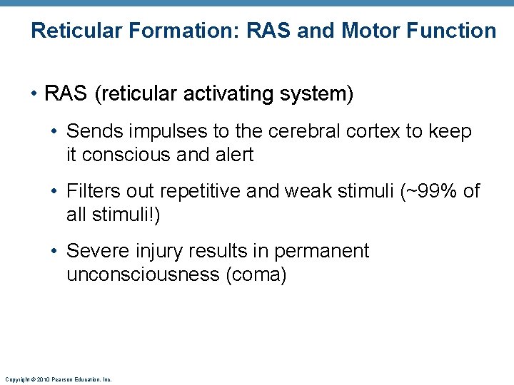 Reticular Formation: RAS and Motor Function • RAS (reticular activating system) • Sends impulses