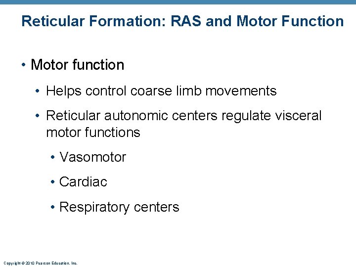 Reticular Formation: RAS and Motor Function • Motor function • Helps control coarse limb
