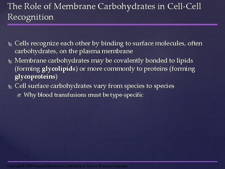 The Role of Membrane Carbohydrates in Cell-Cell Recognition Cells recognize each other by binding