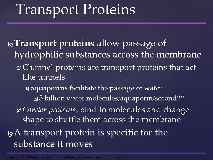 Transport Proteins Transport proteins allow passage of hydrophilic substances across the membrane Channel proteins