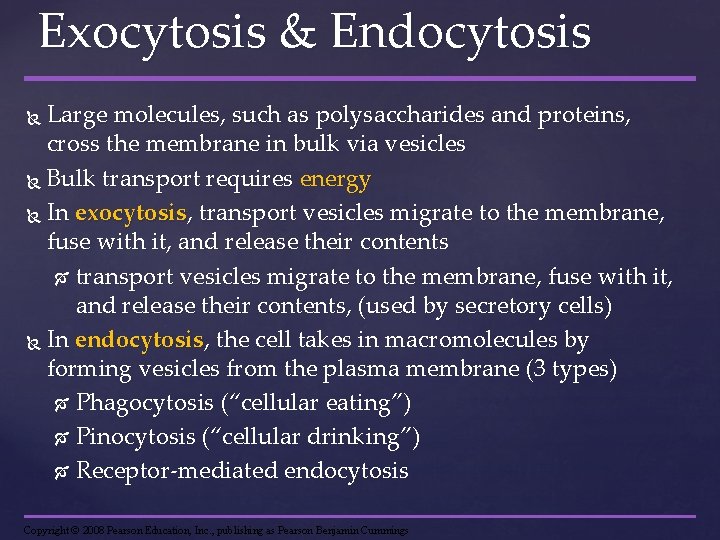 Exocytosis & Endocytosis Large molecules, such as polysaccharides and proteins, cross the membrane in