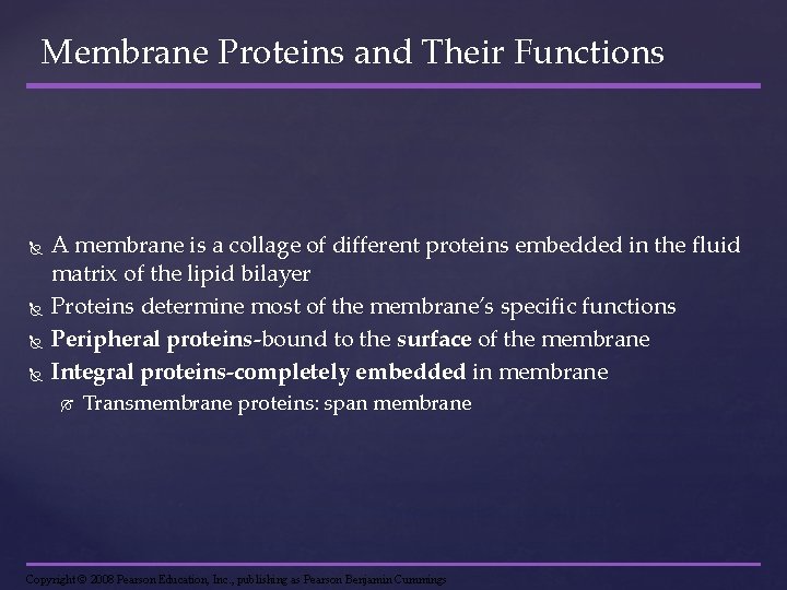 Chapter 7 Membrane Structure and Function 7 1