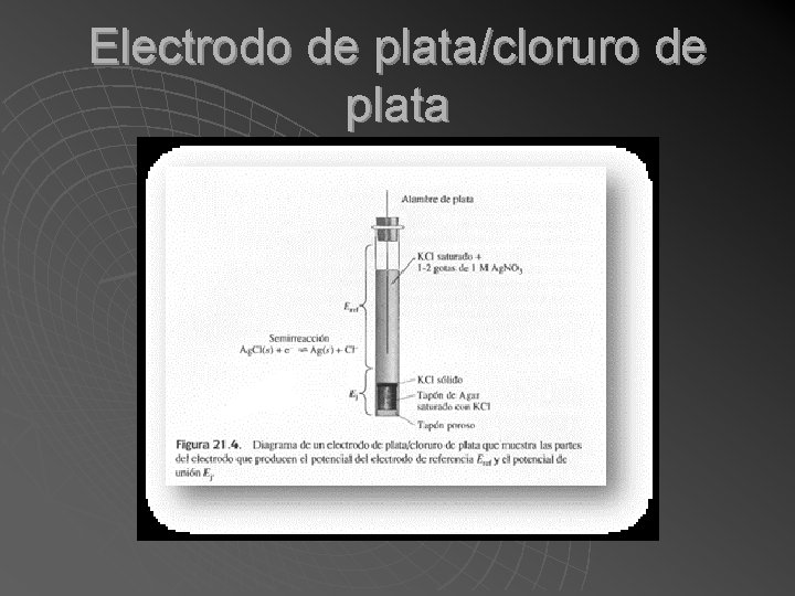 Electrodo de plata/cloruro de plata 