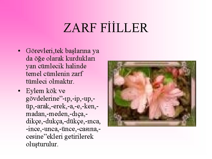 ZARF FİİLLER • Görevleri, tek başlarına ya da öğe olarak kurdukları yan cümlecik halinde