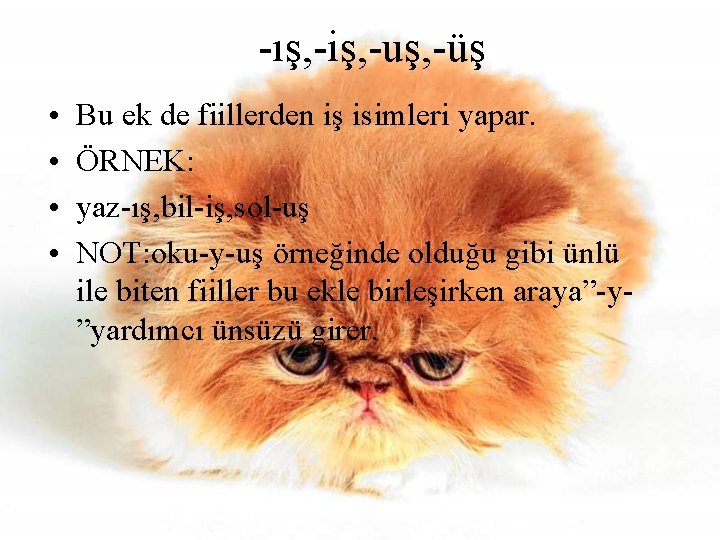 -ış, -iş, -uş, -üş • • Bu ek de fiillerden iş isimleri yapar. ÖRNEK: