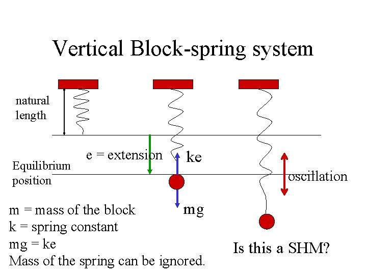 Vertical Block-spring system natural length Equilibrium position e = extension ke mg m =
