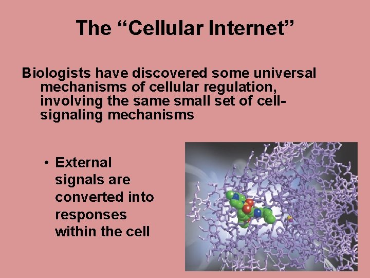 The “Cellular Internet” Biologists have discovered some universal mechanisms of cellular regulation, involving the