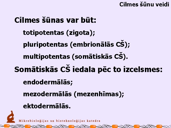 Cilmes šūnu veidi Cilmes šūnas var būt: totipotentas (zigota); pluripotentas (embrionālās CŠ); multipotentas (somātiskās