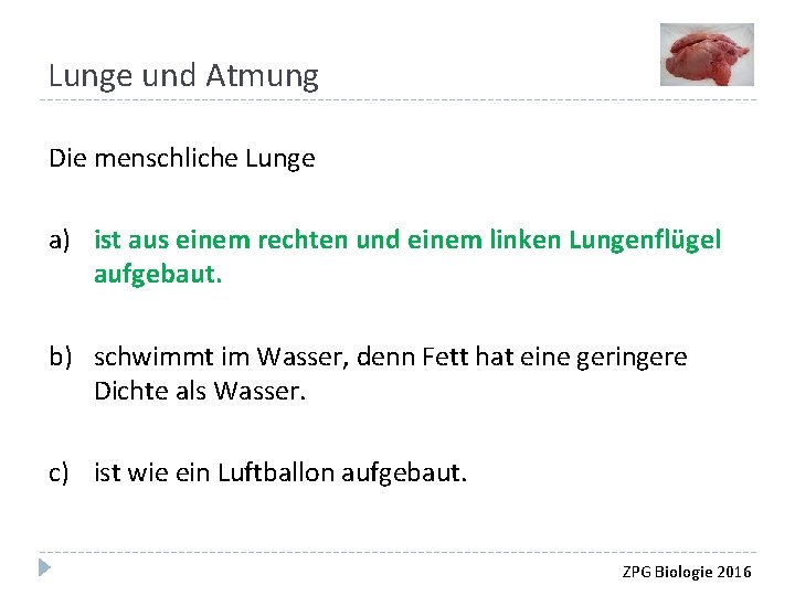 Lunge und Atmung Die menschliche Lunge a) ist aus einem rechten und einem linken