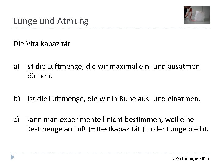 Lunge und Atmung Die Vitalkapazität a) ist die Luftmenge, die wir maximal ein- und