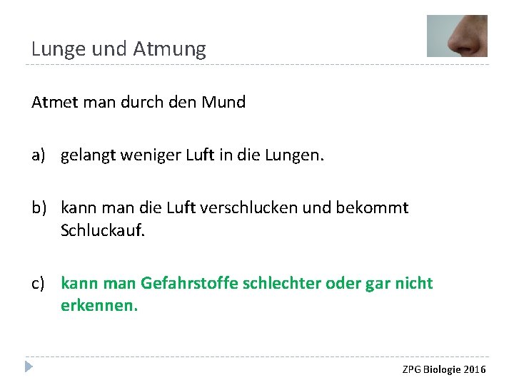 Lunge und Atmung Atmet man durch den Mund a) gelangt weniger Luft in die