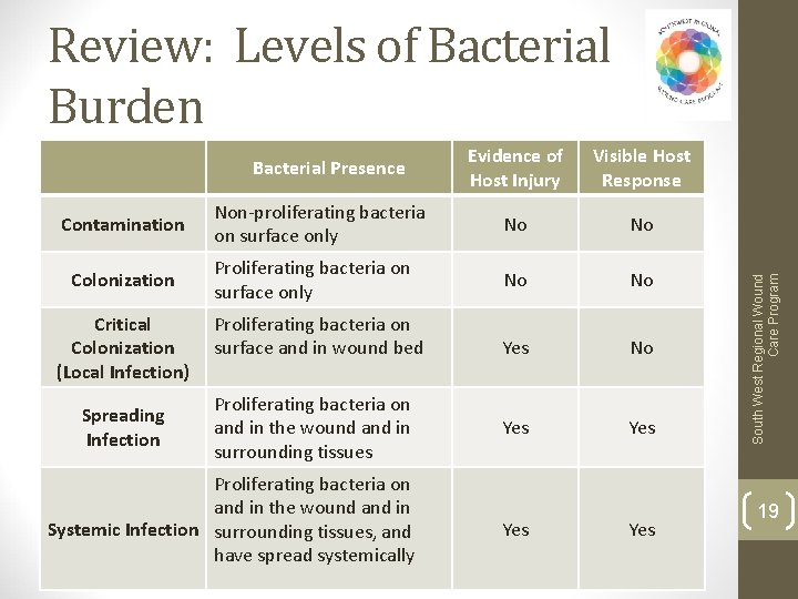 Evidence of Host Injury Visible Host Response Non-proliferating bacteria on surface only No No