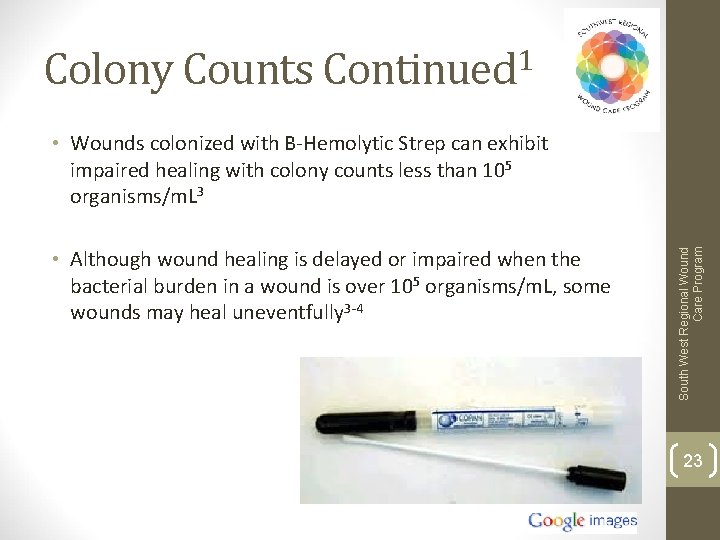 Colony Counts Continued 1 • Although wound healing is delayed or impaired when the