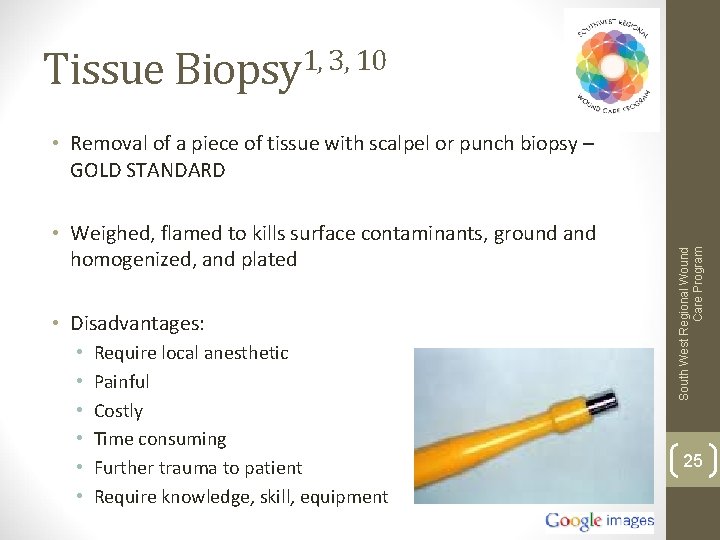 Tissue Biopsy 1, 3, 10 • Weighed, flamed to kills surface contaminants, ground and