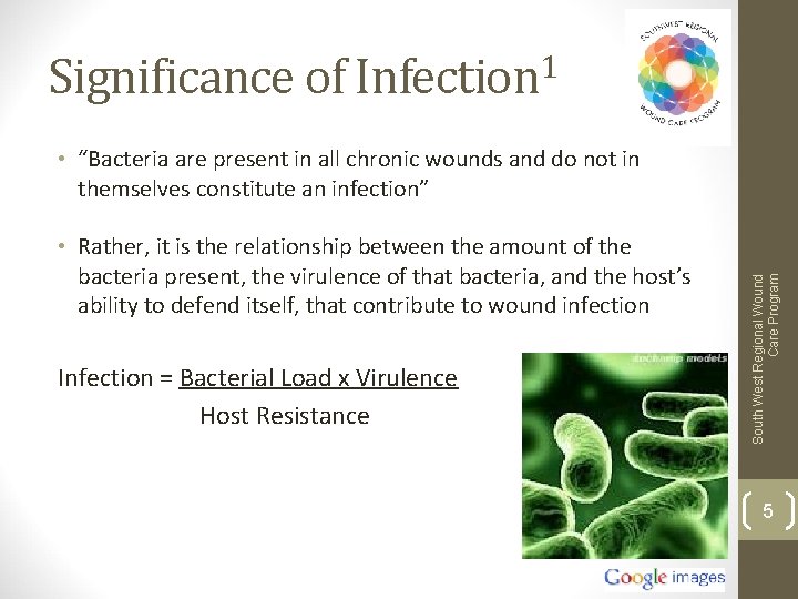 Significance of Infection 1 • Rather, it is the relationship between the amount of