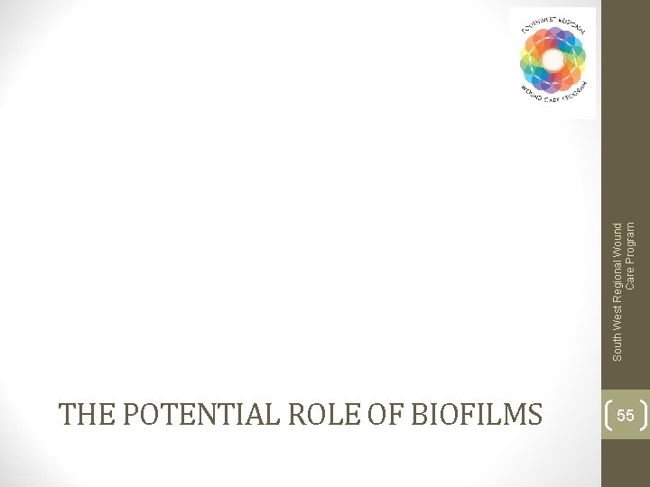 THE POTENTIAL ROLE OF BIOFILMS 55 South West Regional Wound Care Program 