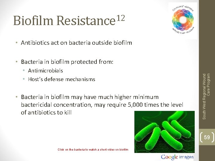 Biofilm Resistance 12 • Antibiotics act on bacteria outside biofilm • Antimicrobials • Host’s