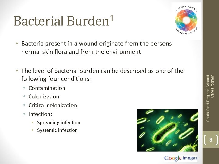 Bacterial Burden 1 • The level of bacterial burden can be described as one