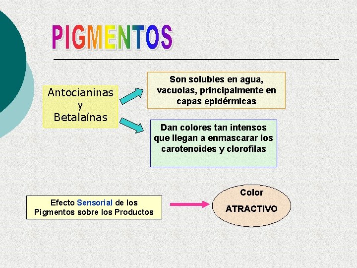 Antocianinas y Betalaínas Son solubles en agua, vacuolas, principalmente en capas epidérmicas Dan colores