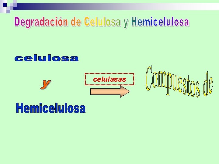 celulasas 