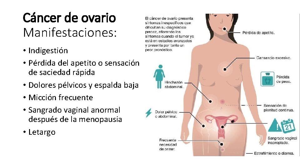 Cáncer de ovario Manifestaciones: • Indigestión • Pérdida del apetito o sensación de saciedad