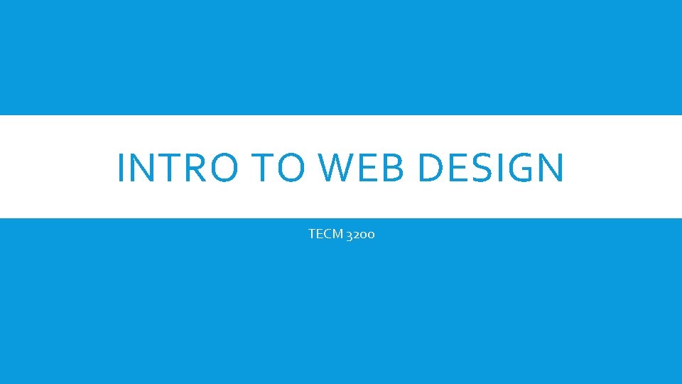 INTRO TO WEB DESIGN TECM 3200 INTRO TO WEB DESIGN TECM 3200