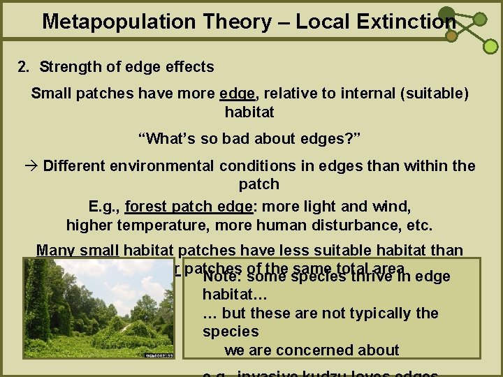 Metapopulation Theory – Local Extinction 2. Strength of edge effects Small patches have more