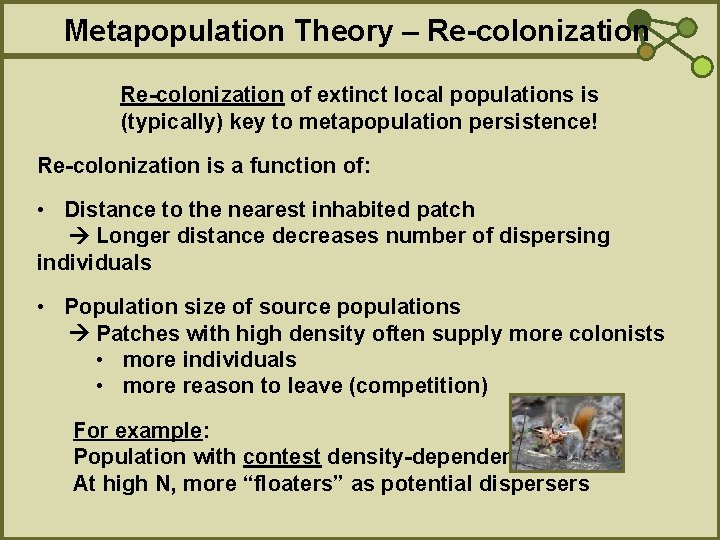Metapopulation Theory – Re-colonization of extinct local populations is (typically) key to metapopulation persistence!