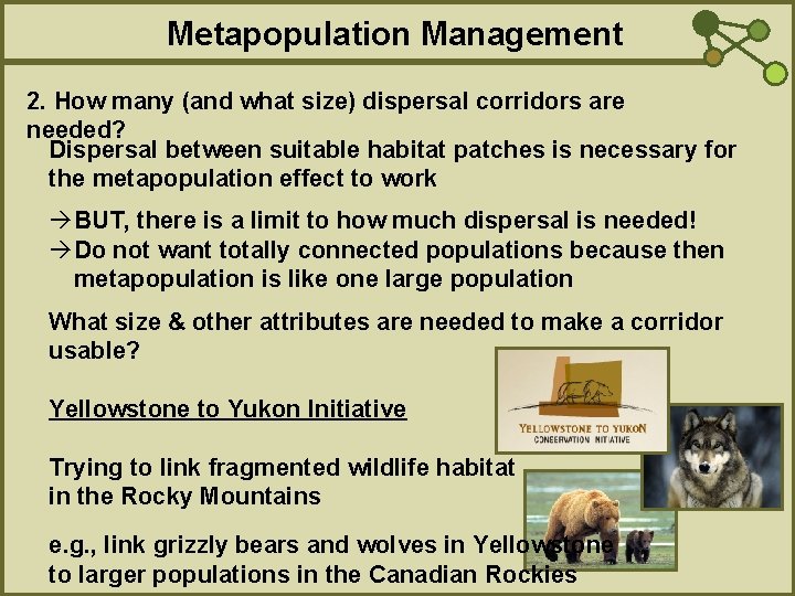 Metapopulation Management 2. How many (and what size) dispersal corridors are needed? Dispersal between