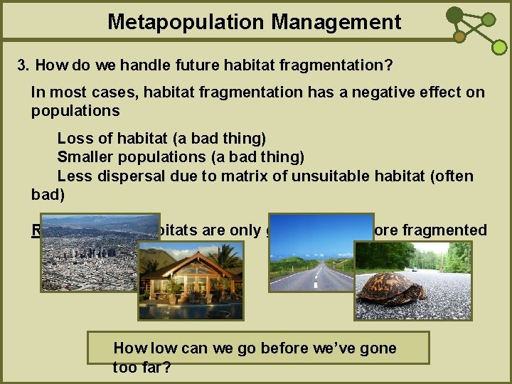 Metapopulation Management 3. How do we handle future habitat fragmentation? In most cases, habitat