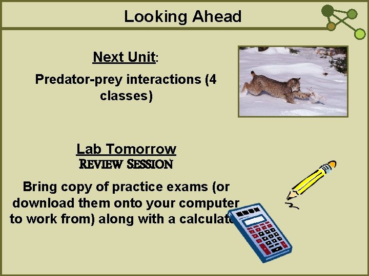 Looking Ahead Next Unit: Predator-prey interactions (4 classes) Lab Tomorrow REVIEW SESSION Bring copy