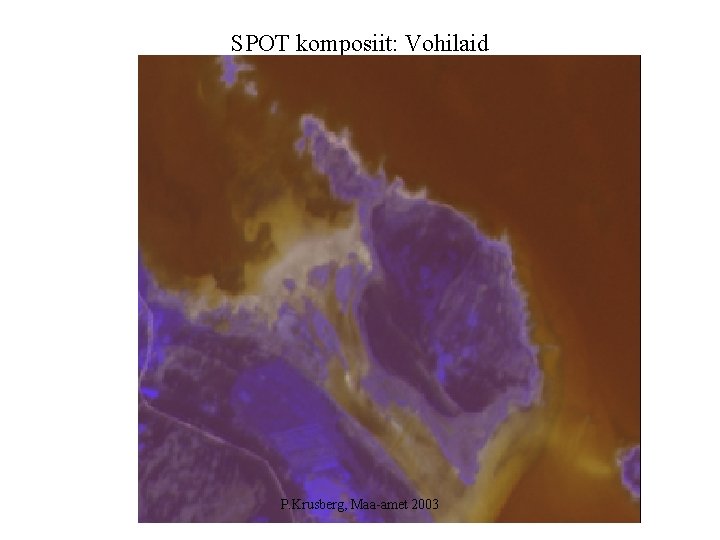 SPOT komposiit: Vohilaid P. Krusberg, Maa-amet 2003 