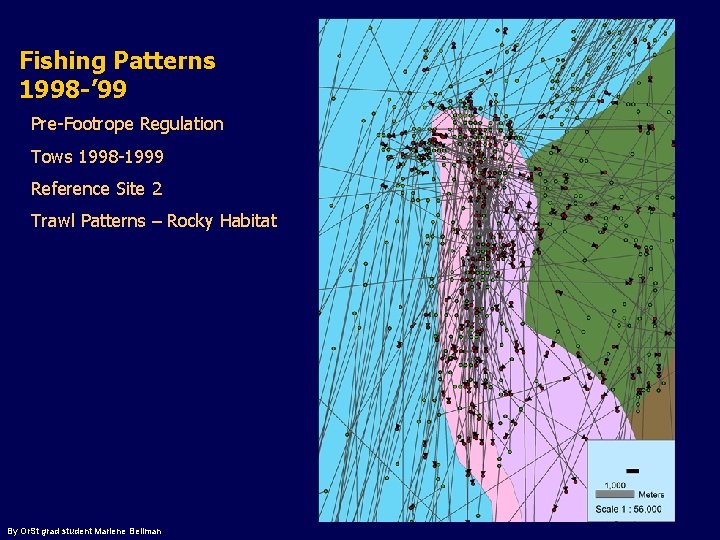 Fishing Patterns 1998 -’ 99 Pre-Footrope Regulation Tows 1998 -1999 Reference Site 2 Trawl