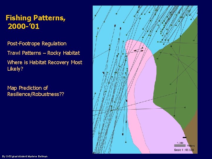 Fishing Patterns, 2000 -’ 01 Post-Footrope Regulation Trawl Patterns – Rocky Habitat Where is