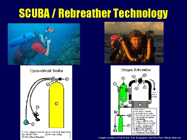 SCUBA / Rebreather Technology Images courtesy of Kip Evans, Nat. Geographic and Rich Pyle,