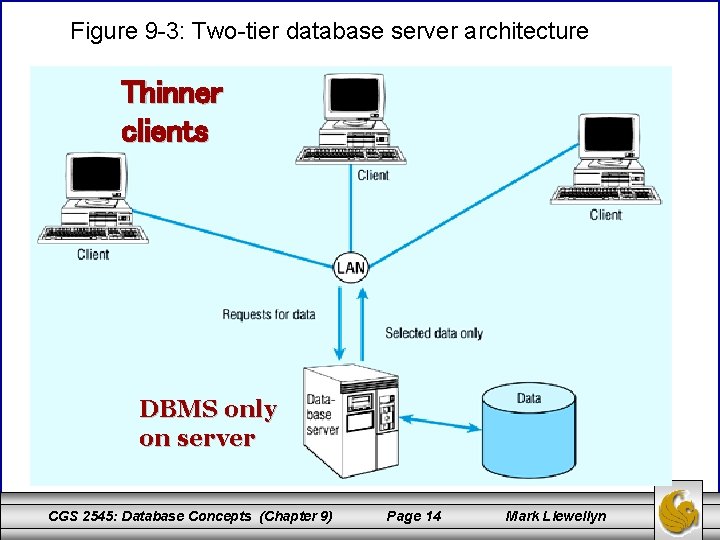 Figure 9 -3: Two-tier database server architecture Thinner clients DBMS only on server CGS