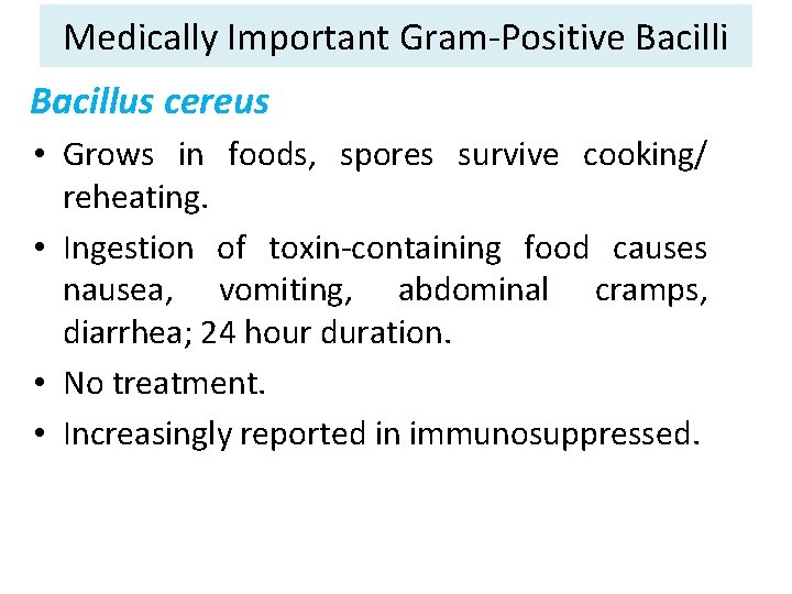 Medically Important Gram-Positive Bacilli Bacillus cereus • Grows in foods, spores survive cooking/ reheating.
