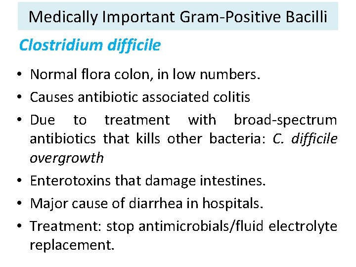 Medically Important Gram-Positive Bacilli Clostridium difficile • Normal flora colon, in low numbers. •