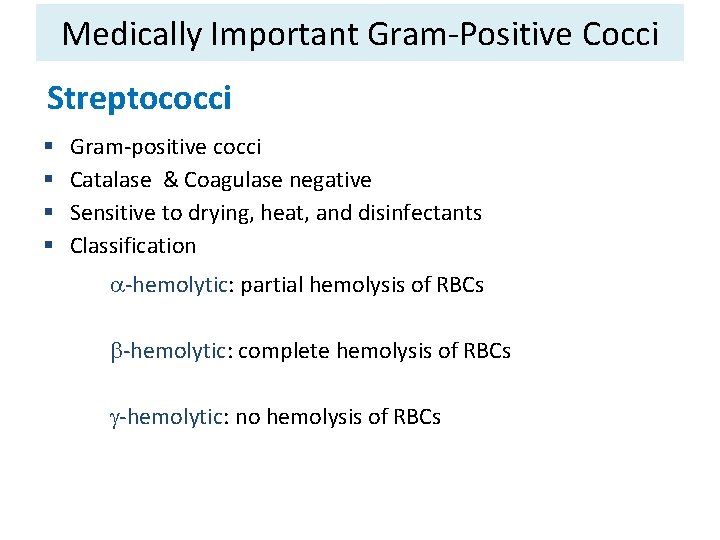Medically Important Gram-Positive Cocci Streptococci Gram-positive cocci Catalase & Coagulase negative Sensitive to drying,