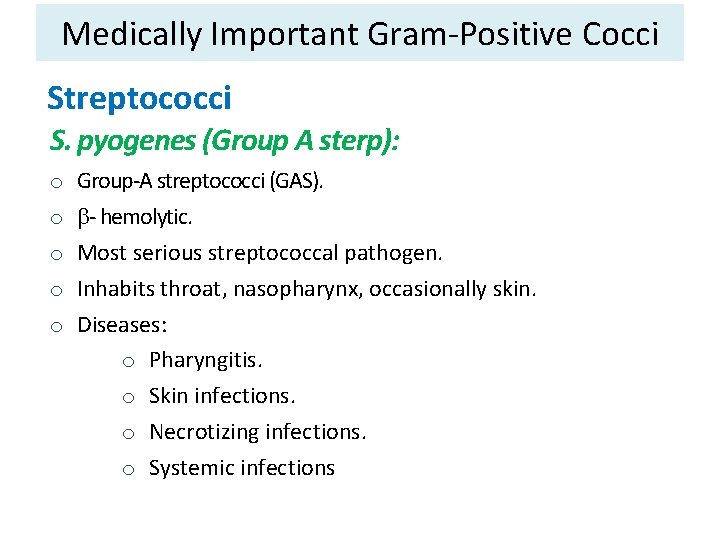 Medically Important Gram-Positive Cocci Streptococci S. pyogenes (Group A sterp): o Group-A streptococci (GAS).